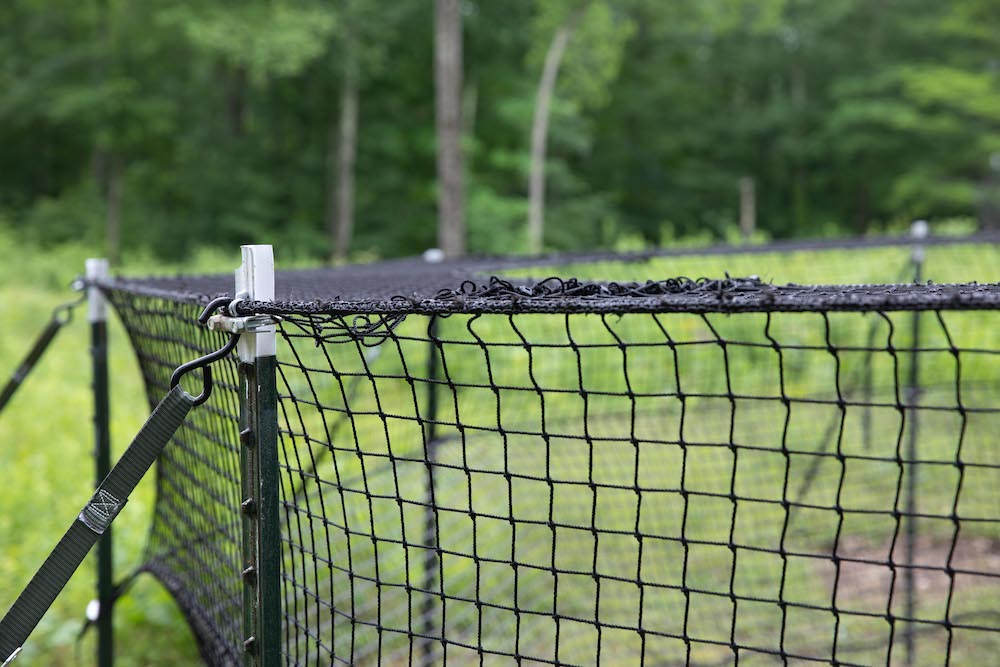 Pig Brig trap system net