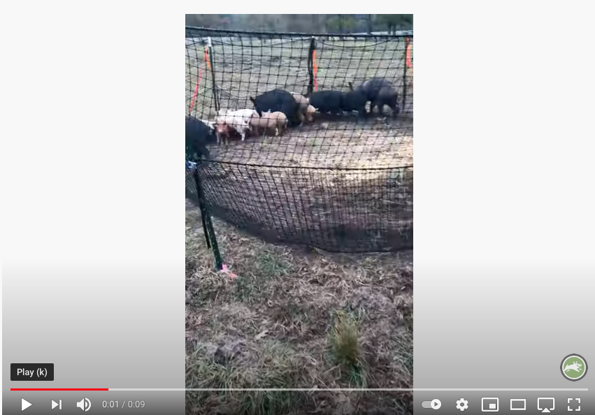 Pig Brig Trap System - Customer Video - 002