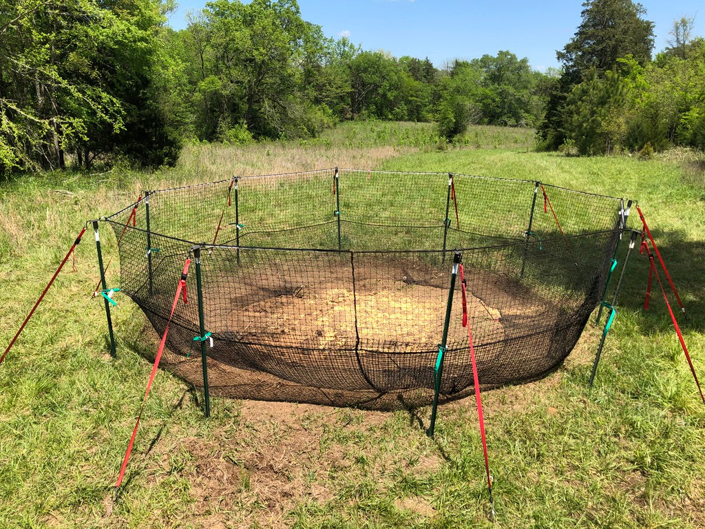 net pig trap with corn bait in the center