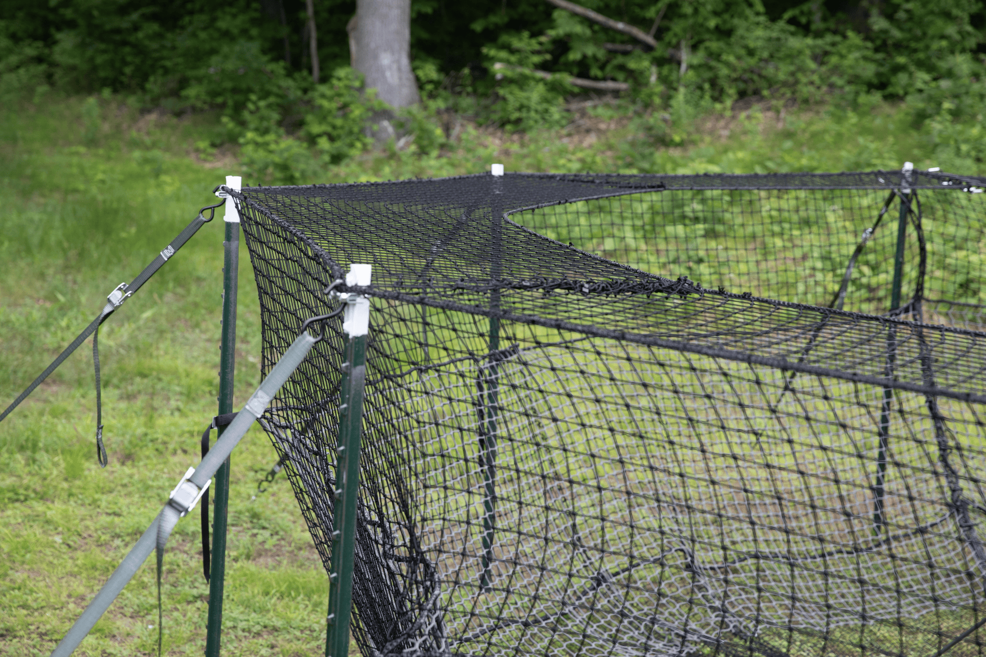 Pig Brig wild boar trap system trap cap