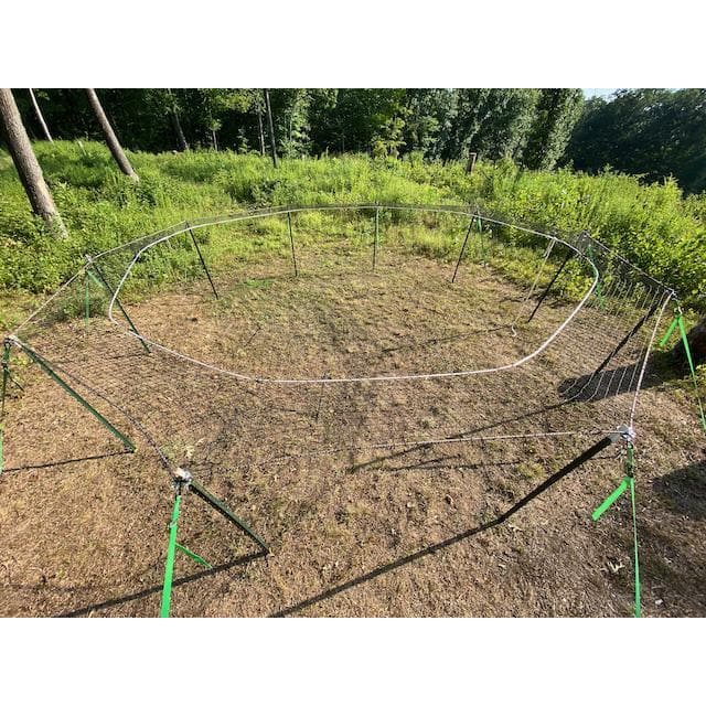 Pig Brig wild boar trap system trap cap