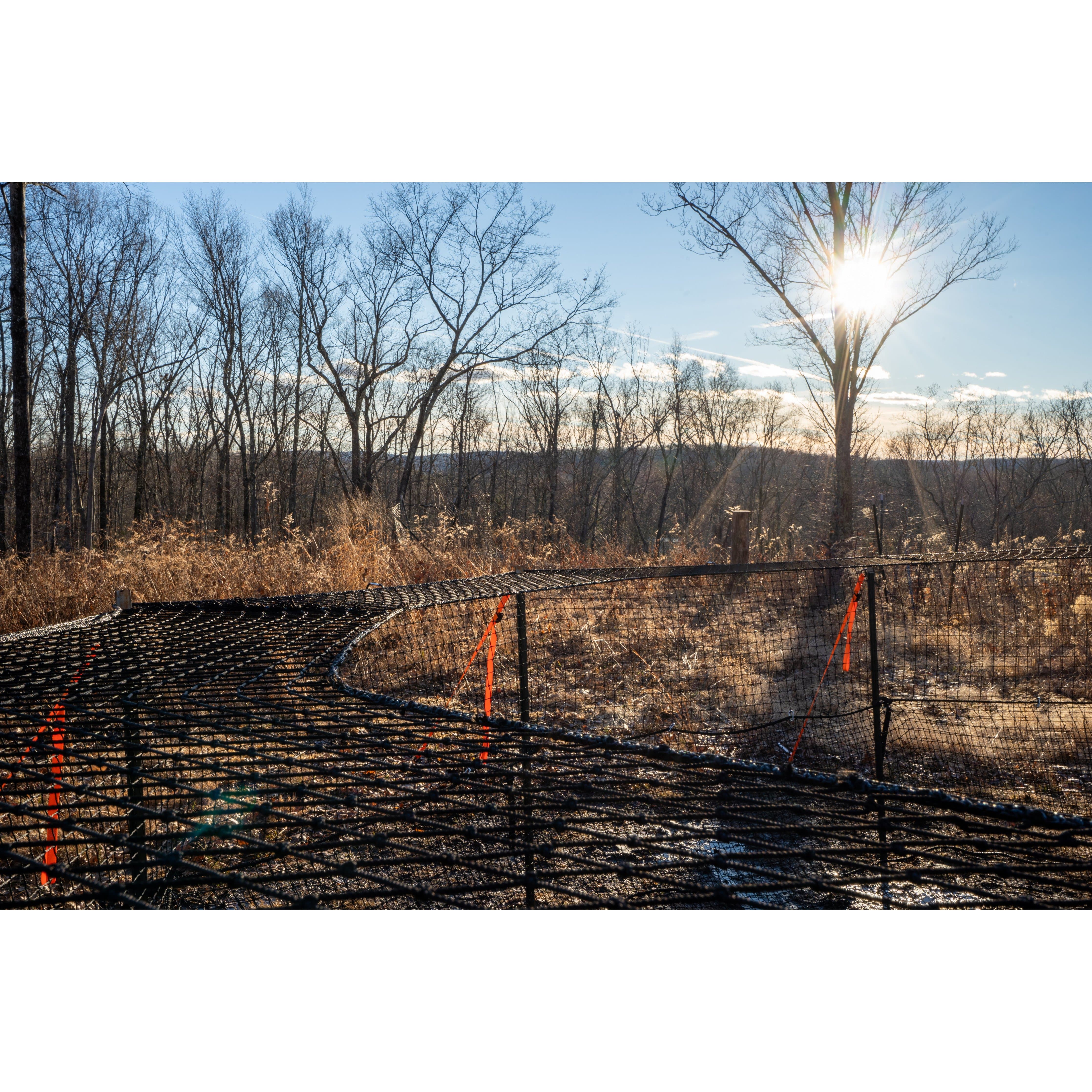 Pig Brig wild boar trap system trap cap