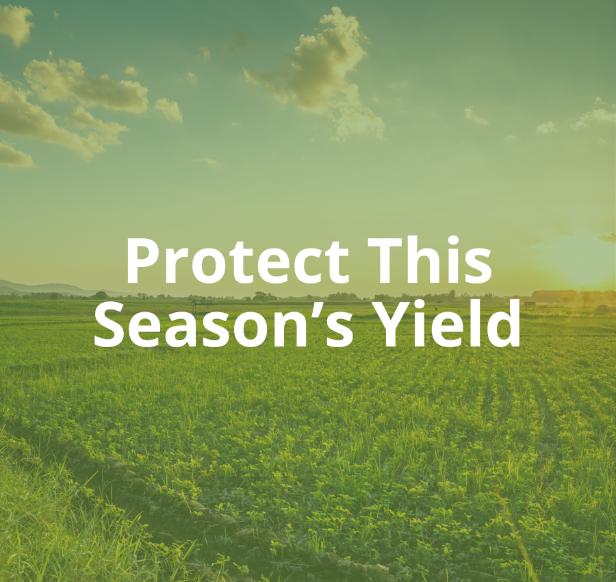 Feral Hogs Are Eating Your Profits — Here’s How to Stop Them