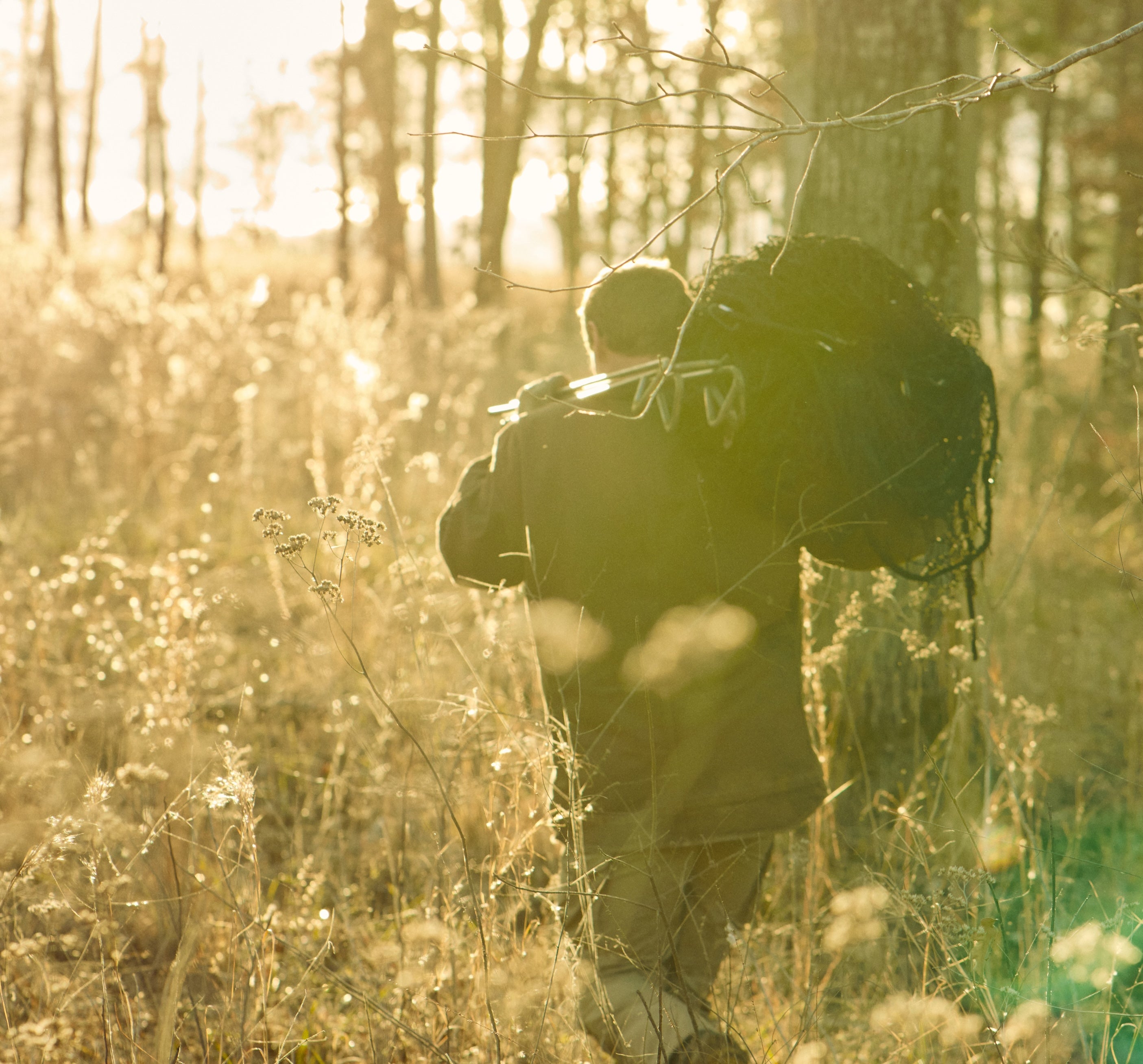 Man hiking through sunlit forest