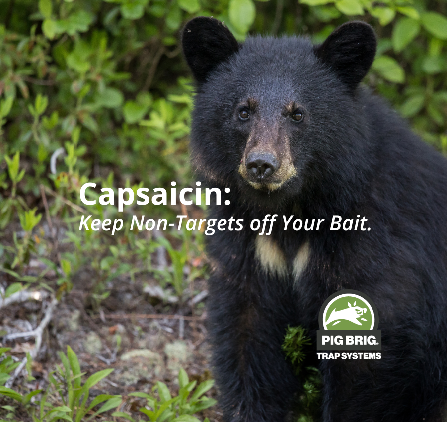 Keep Non-Targets off Your Bait.