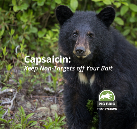 Keep Non-Targets off Your Bait.