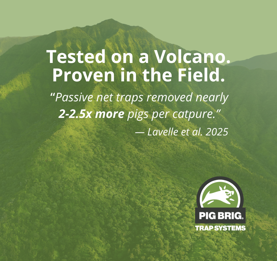 Trapping Smarter: What a Hawaiian Study Tells Us About Wild Pig Removal in Remote Terrain