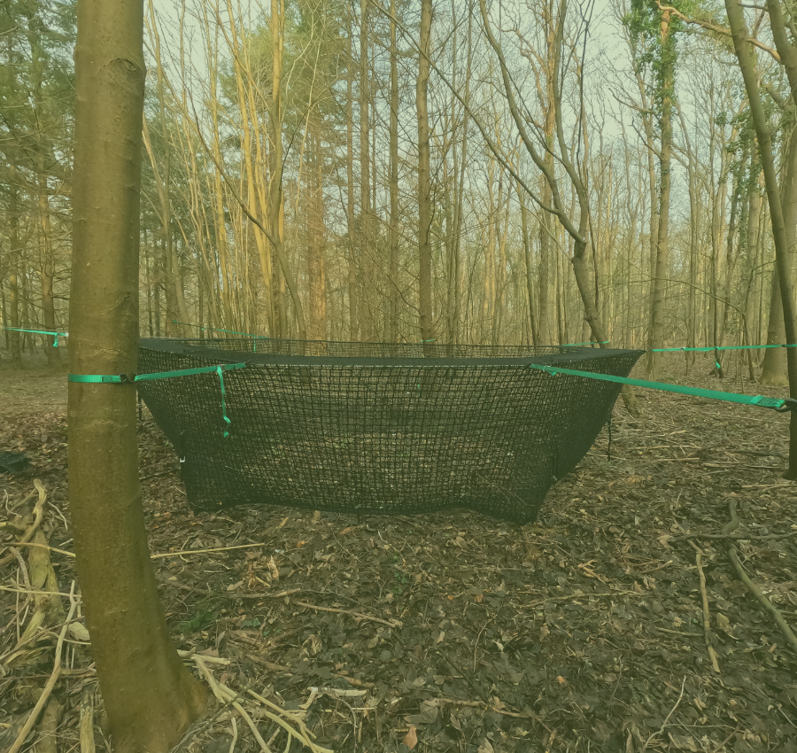 Tree Sets: The Unsung Hero of the Pig Brig® Trap System
