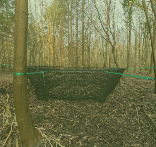 Tree Sets: The Unsung Hero of the Pig Brig® Trap System