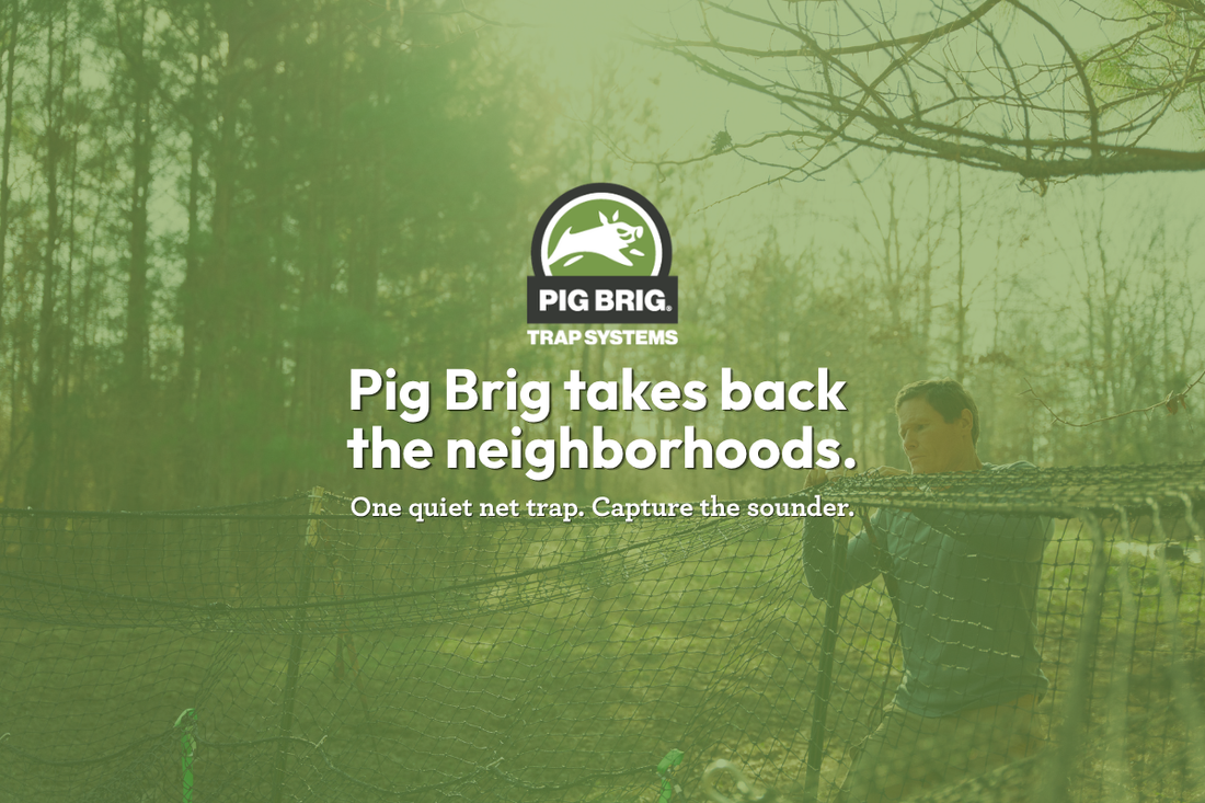 Feral Hogs in the Neighborhood: A Control Guide for HOAs