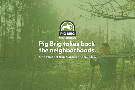 Feral Hogs in the Neighborhood: A Control Guide for HOAs