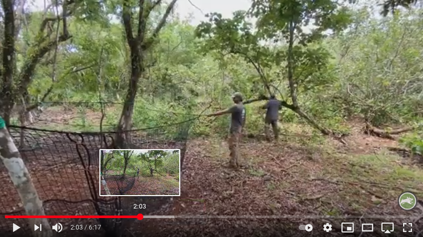 Pig Brig Trap System forest set up video thumbnail