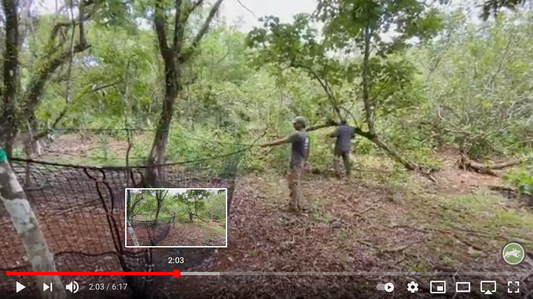 Pig Brig Trap System forest set up video thumbnail