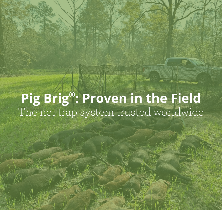 Pig Brig Net Trap System with feral pig catch