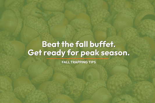 Close-up of a pile of acorns under a green overlay, with white text that reads "Beat the fall buffet. Get ready for peak season." and "Fall Trapping Tips" below an orange line.