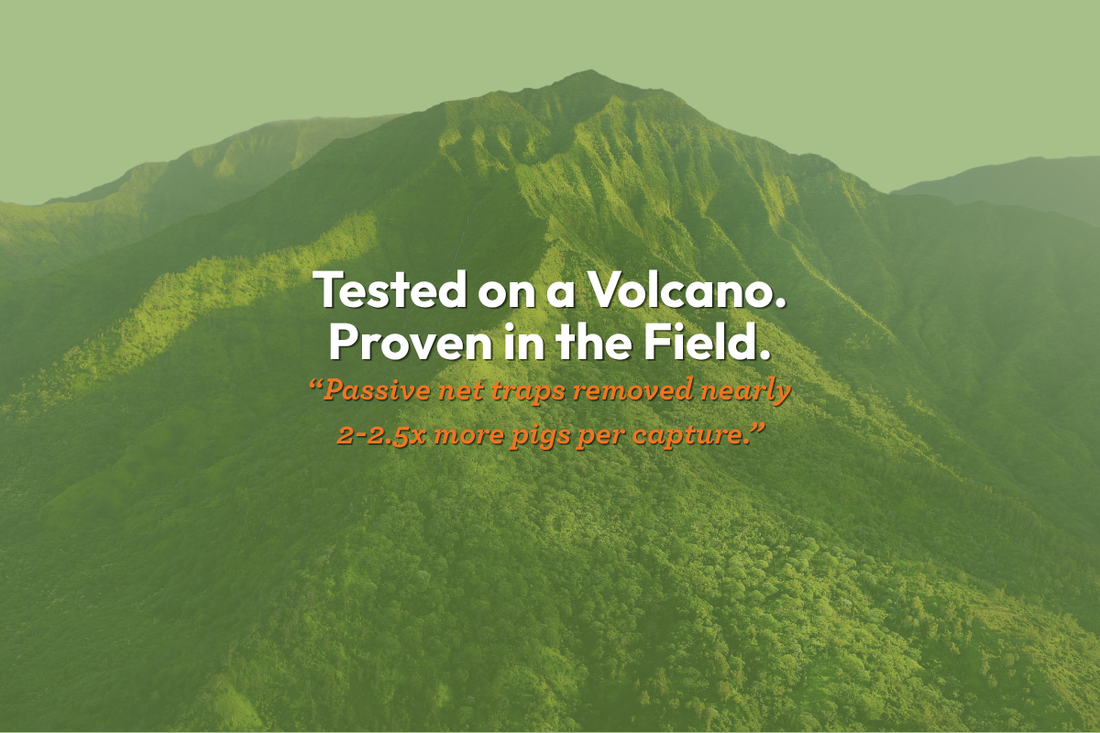 Trapping Smarter: What a Hawaiian Study Tells Us About Wild Pig Removal in Remote Terrain