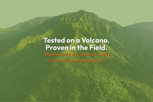 Trapping Smarter: What a Hawaiian Study Tells Us About Wild Pig Removal in Remote Terrain
