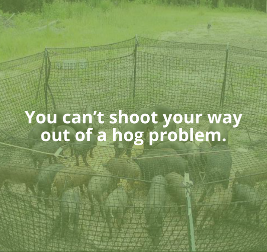 pigs inside net trap graphic overly You can't shoot your way out of a hog problem.