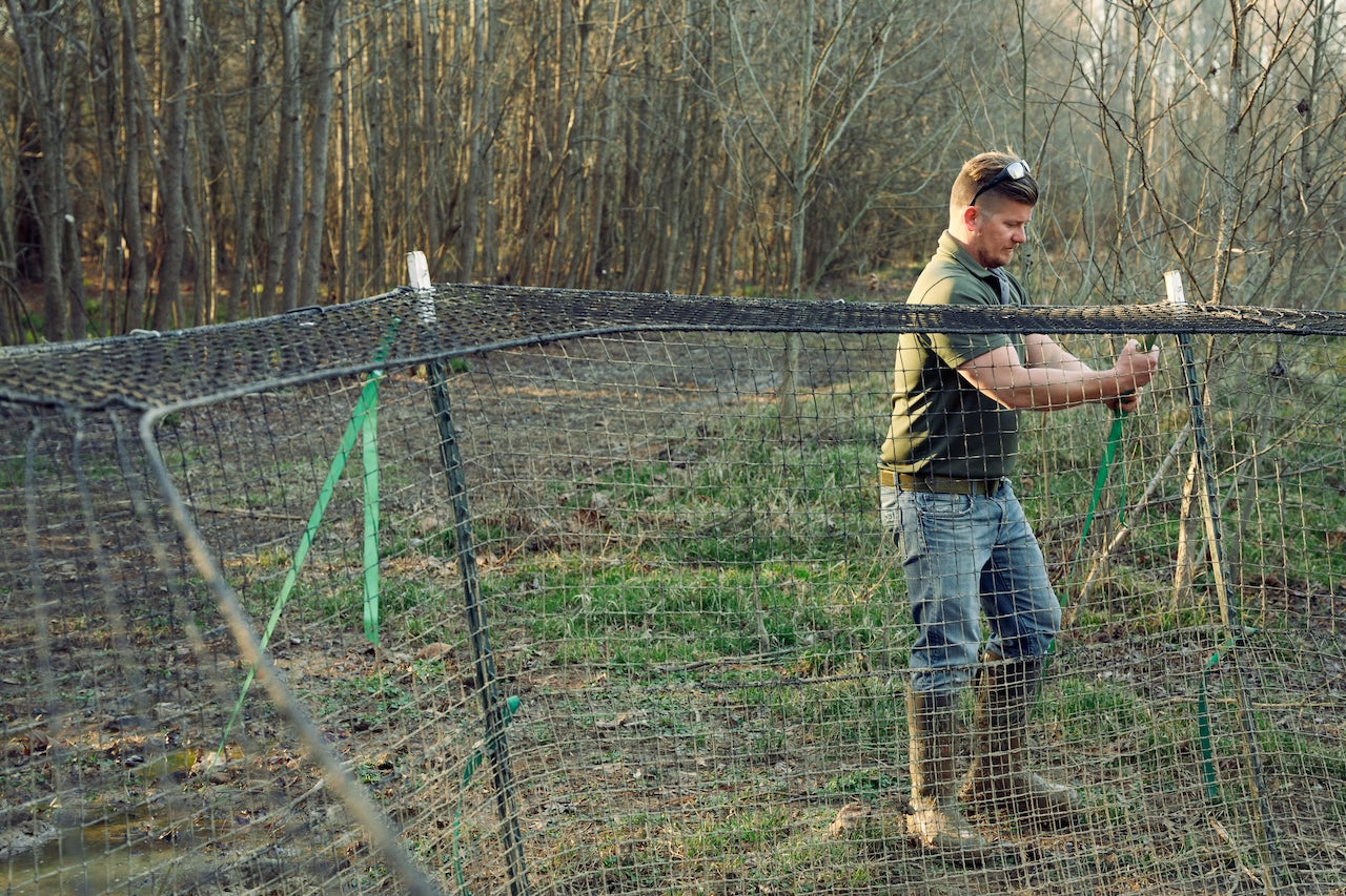 A person setting up a pig brig net trap in a outdoor setting with trees in the background.