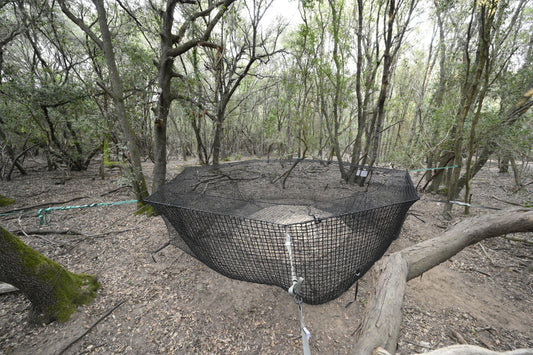 Pig Brig hog trap net in a forest setting