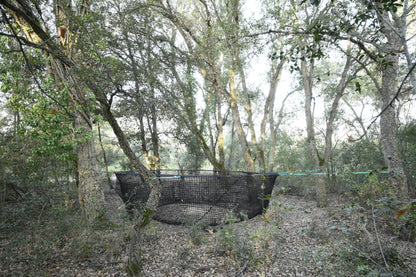 Pig Brig hog trap Net hanging between trees in a forest