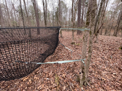Pig Brig hog trap net in a forest setting with trees and fallen leaves.