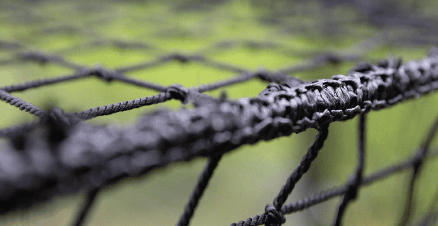 Close-up of a barbed wire fence with a blurred green background
