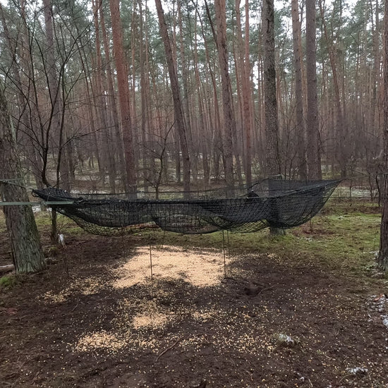 Pig Brig hog trap in between trees in a forest setting with bait in the center