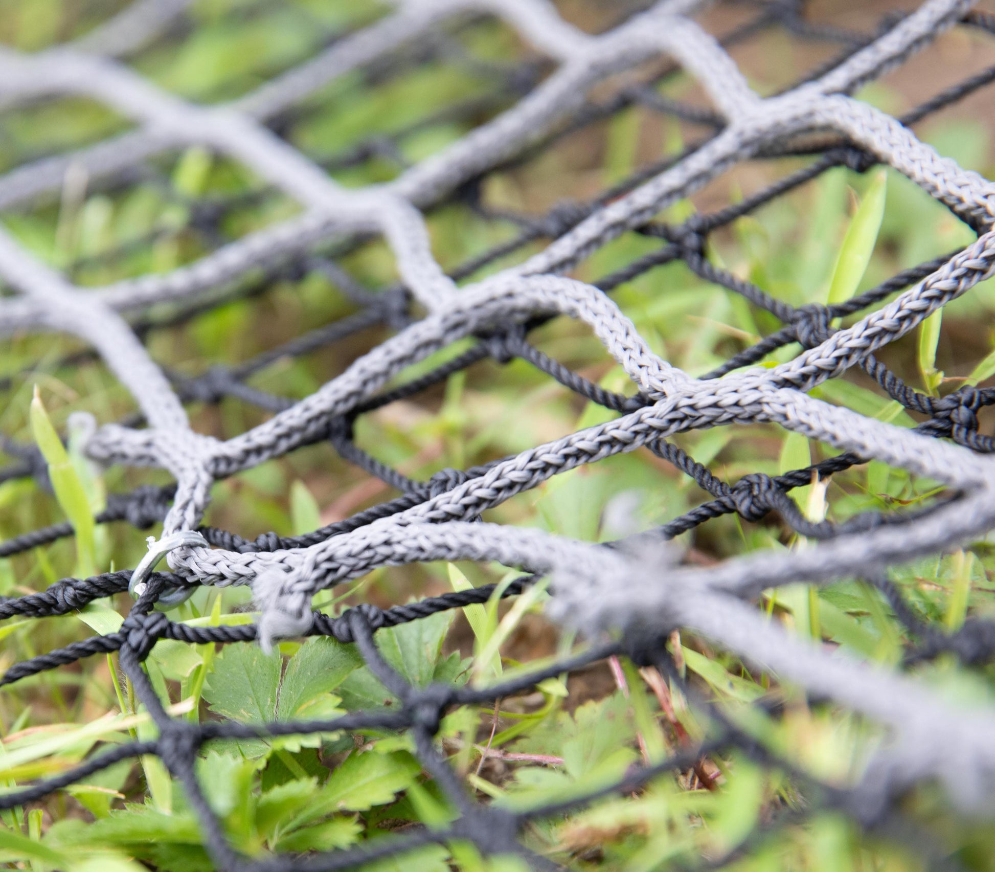 Pig Brig Beefy Boar Shield net