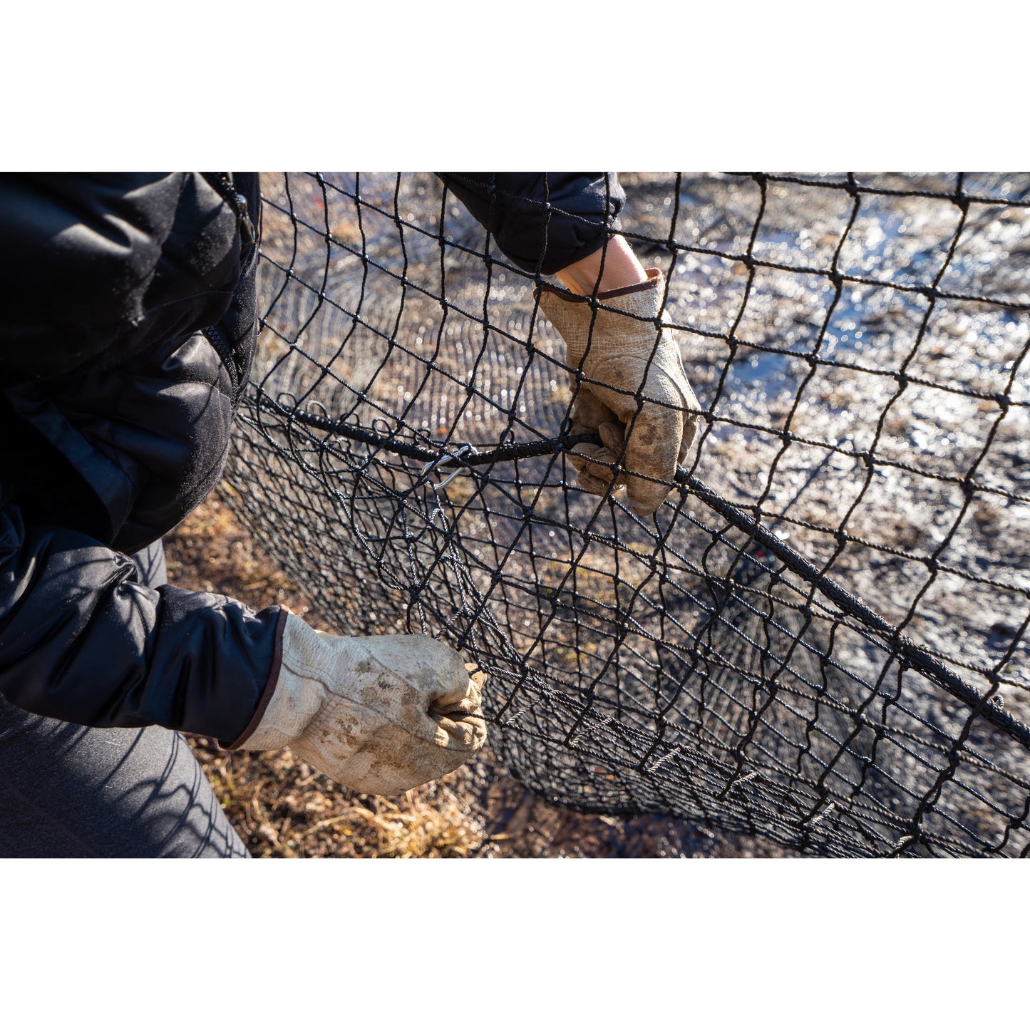 Pig Brig Beefy Boar Shield net