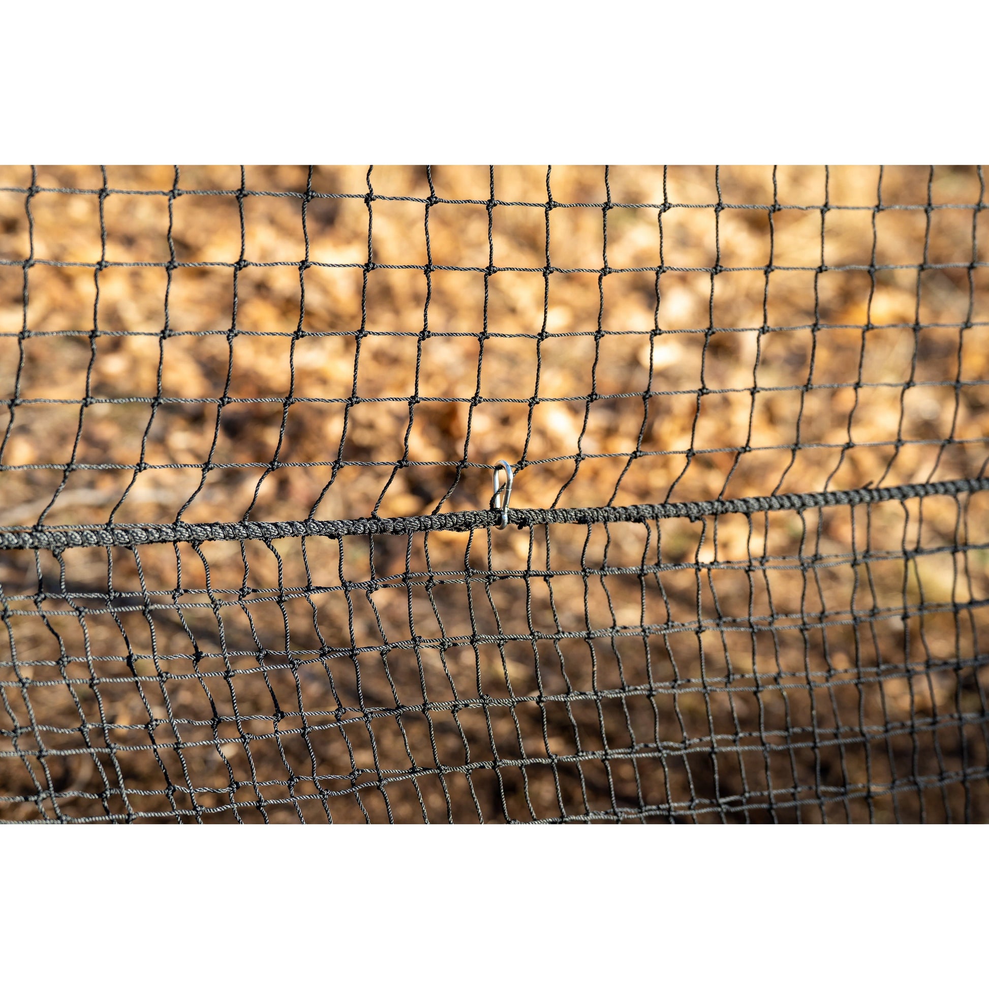 Pig Brig Beefy Boar Shield net