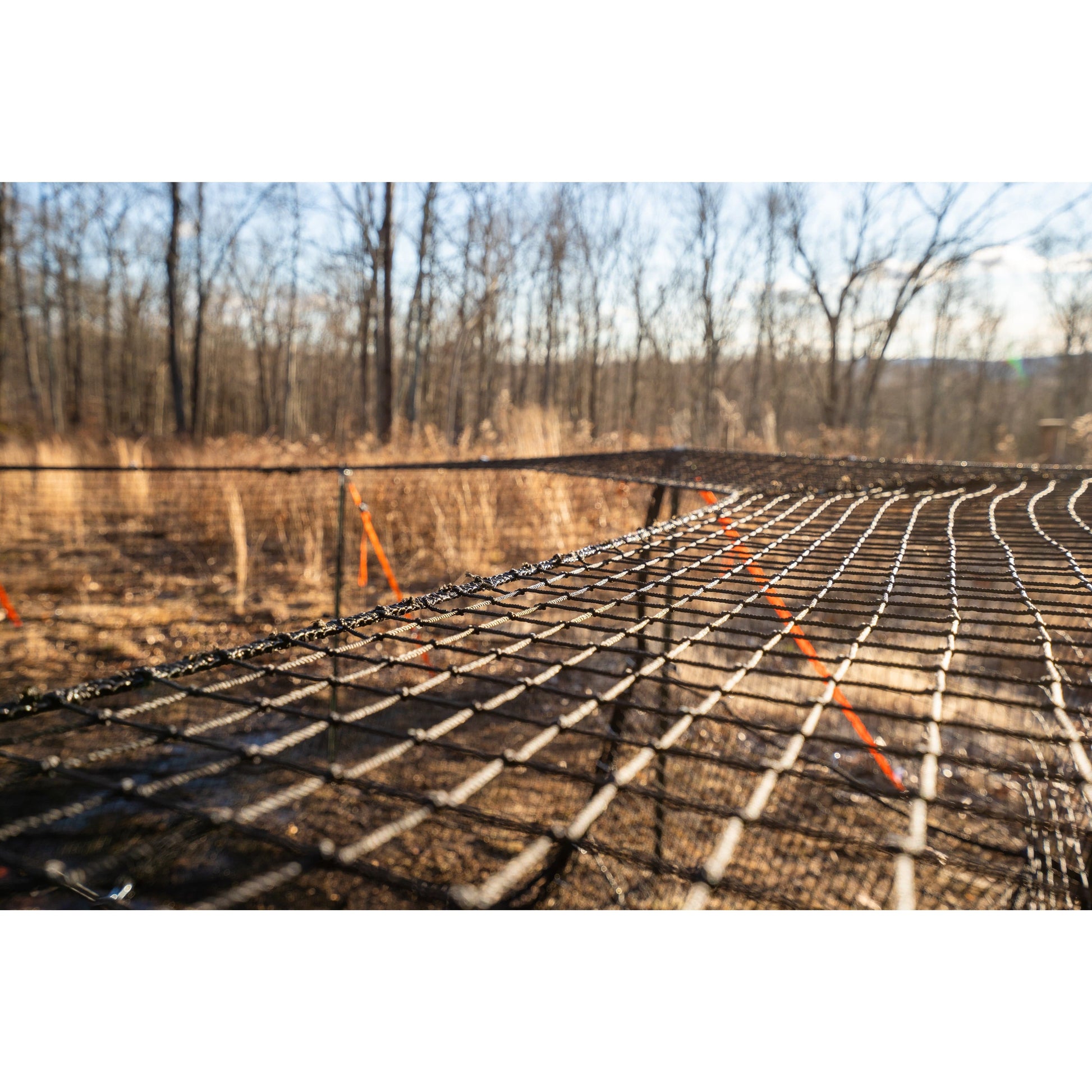 Pig Brig wild boar trap system trap cap