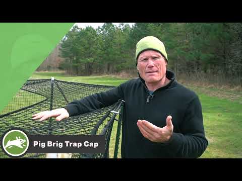 Pig Brig wild boar trap system trap cap video
